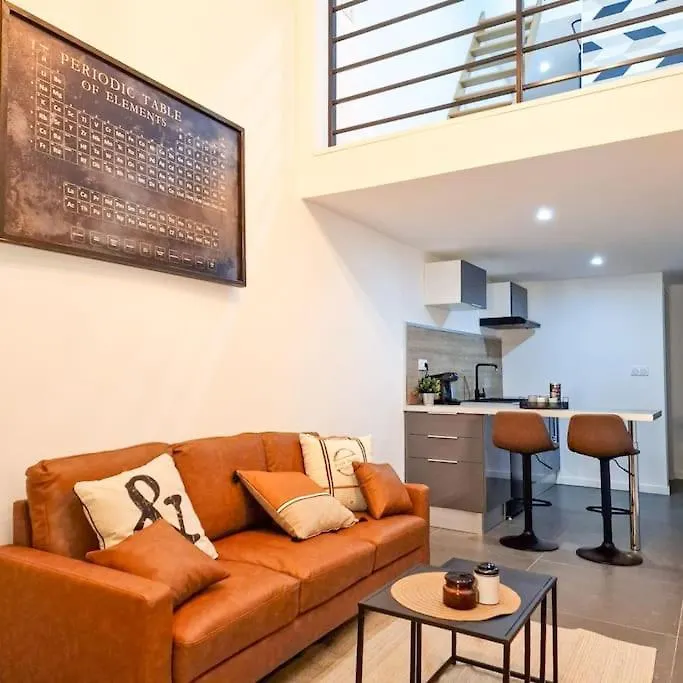 L'Atelier A Magnifique Loft Avec Terrasse Privee Apartment Saint-Etienne  France
