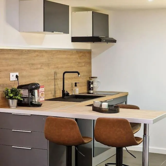 Appartement L'Atelier A Magnifique Loft Avec Terrasse Privee à Saint-Etienne
